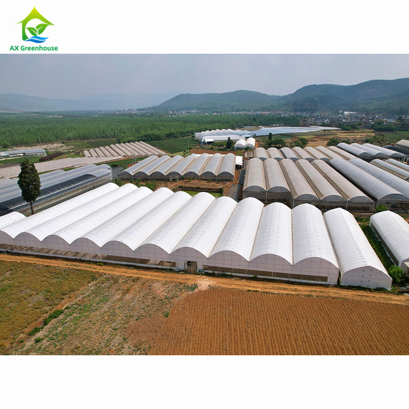 Large-scale agricultural multi-span greenhouses | Professional greenhouse factory for bulk customization