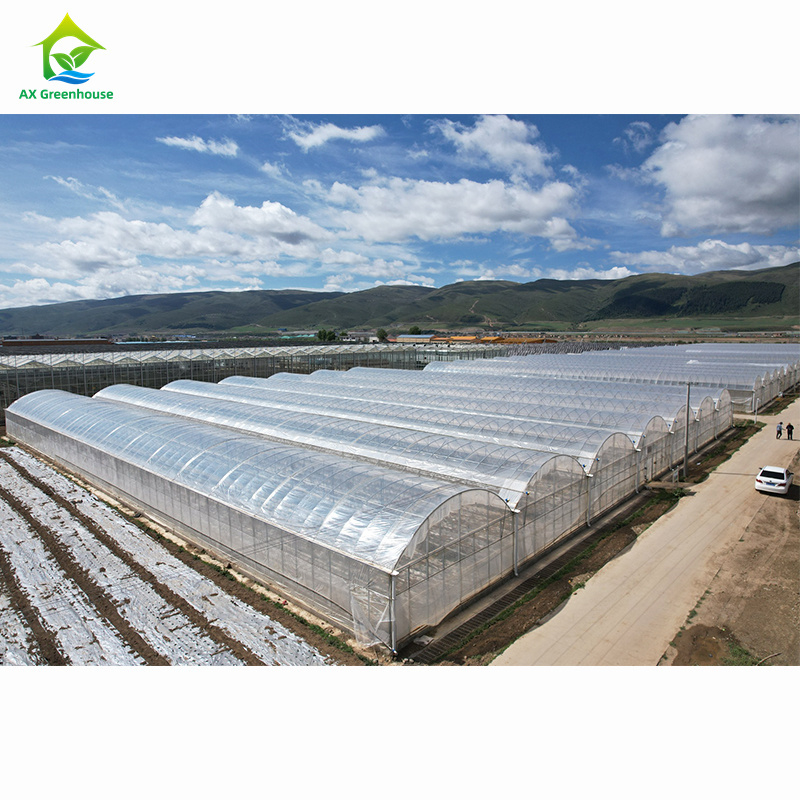 Large-scale agricultural multi-span greenhouses | Professional greenhouse factory for bulk customization