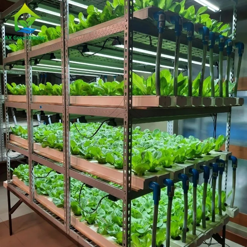 Automated Multi-layer Vertical NFT Hydroponic System with Integrated LED Lighting for Soilless Cultivation
