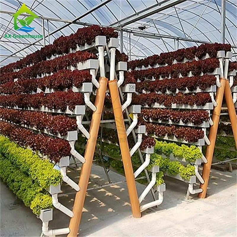 Greenhouse Soilless Cultivation System A-frame Nutrient Film Technique NFT Channel Efficient Vegetable Cultivation