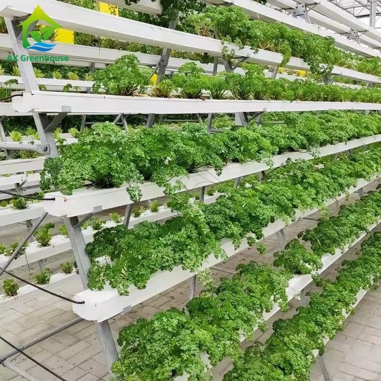 Greenhouse Soilless Cultivation System A-frame Nutrient Film Technique NFT Channel Efficient Vegetable Cultivation