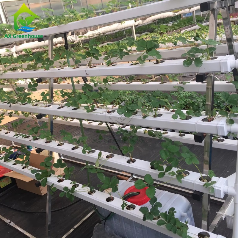 Greenhouse Soilless Cultivation System A-frame Nutrient Film Technique NFT Channel Efficient Vegetable Cultivation