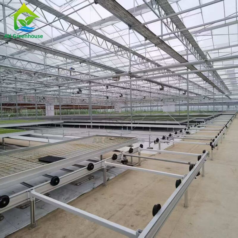 Custom Logistics-based Track-mounted Adjustable Ebb and Flow Table Seedling Bed for Greenhouse Seedling Cultivation
