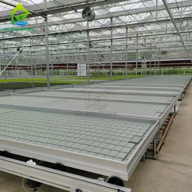 Custom Logistics-based Track-mounted Adjustable Ebb and Flow Table Seedling Bed for Greenhouse Seedling Cultivation