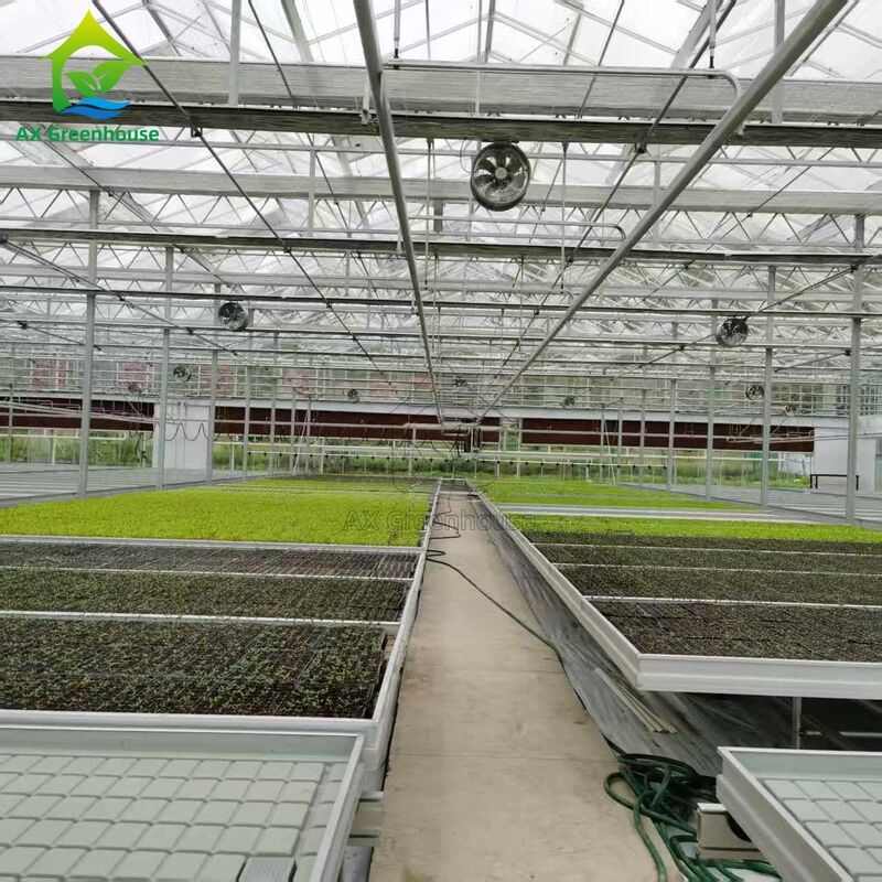 Custom Logistics-based Track-mounted Adjustable Ebb and Flow Table Seedling Bed for Greenhouse Seedling Cultivation