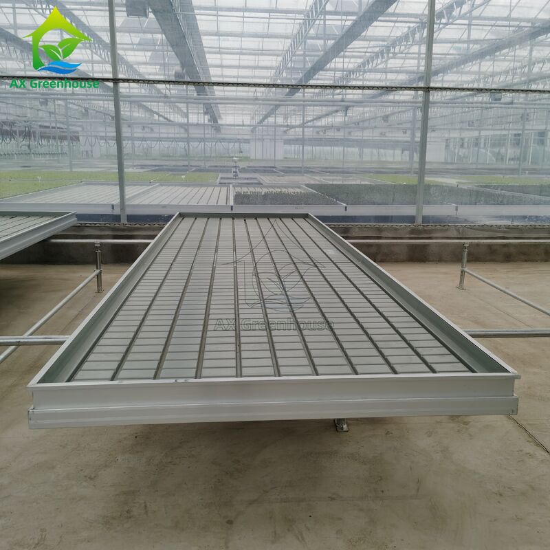 Custom Logistics-based Track-mounted Adjustable Ebb and Flow Table Seedling Bed for Greenhouse Seedling Cultivation