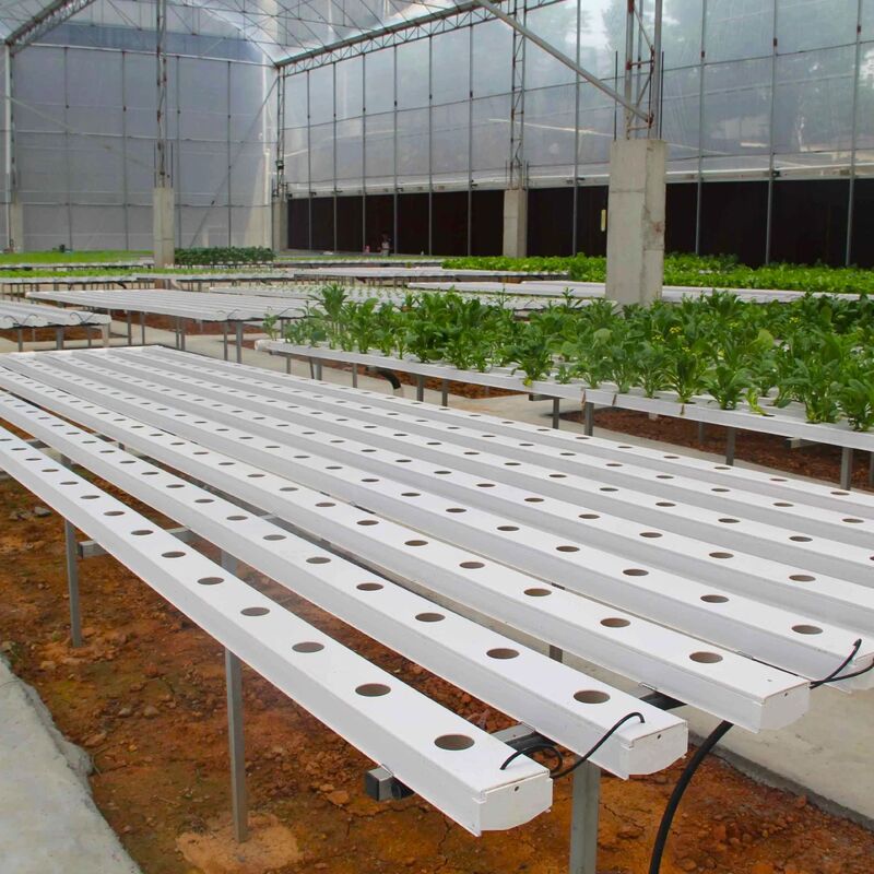 Food-Grade PVC NFT Hydroponic Gully System with UV Inhibitors and Customizable Dimensions for Commercial Greenhouses