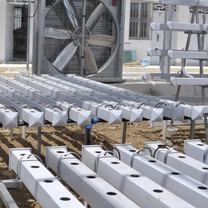 Food-Grade PVC NFT Hydroponic Gully System with UV Inhibitors and Customizable Dimensions for Commercial Greenhouses