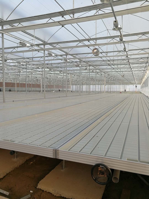 0.71-1.78m Width Greenhouse Rolling Benches Ebb And Flow Hydroponic Flood Table