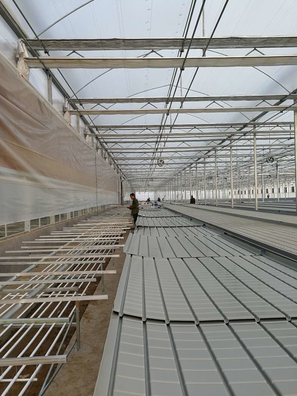0.71-1.78m Width Greenhouse Rolling Benches Ebb And Flow Hydroponic Flood Table
