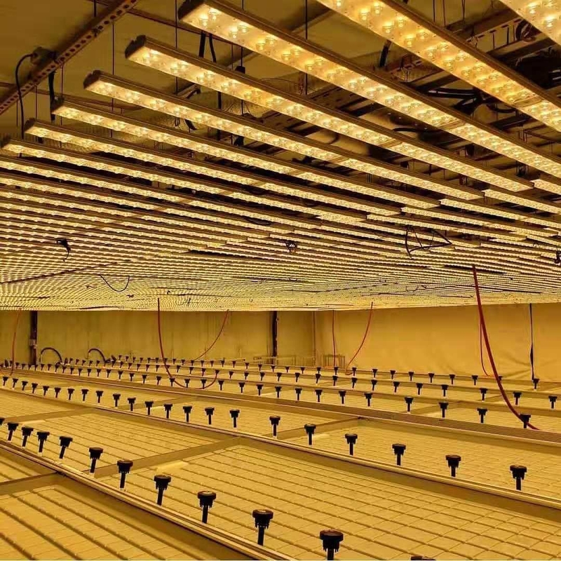 0.71-1.78m Width Greenhouse Rolling Benches Ebb And Flow Hydroponic Flood Table