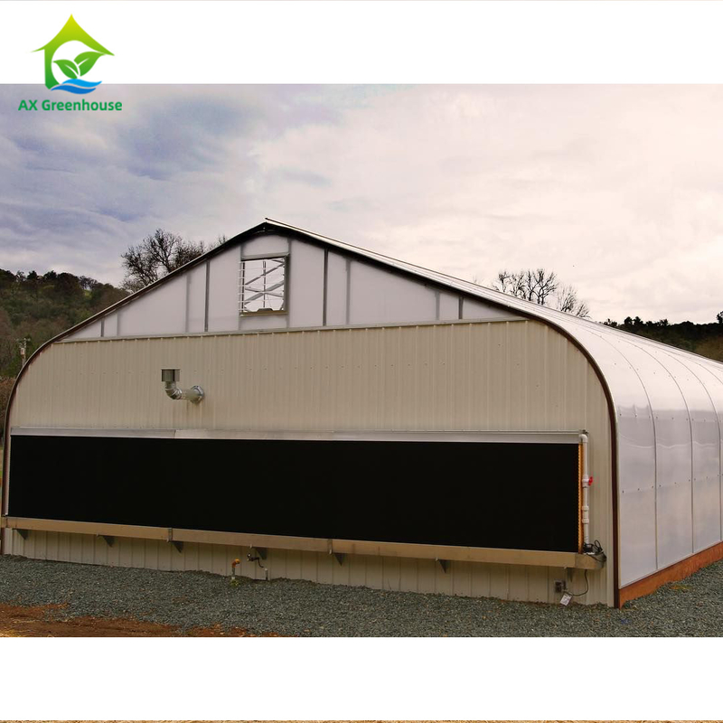 1.8-3m Wall Height Light Dep Grow Tunnel Greenhouse With Climate Control System