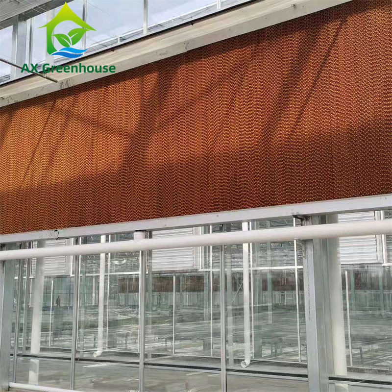 Commercial Multi-Span Venlo Glass Greenhouse with Hot Galvanized Steel Frame and Triangle Roof Molding