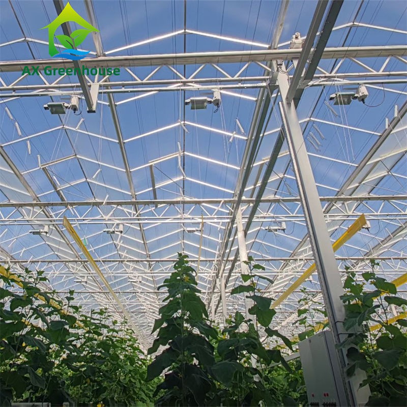 Commercial Multi-Span Venlo Glass Greenhouse with Hot Galvanized Steel Frame and Triangle Roof Molding