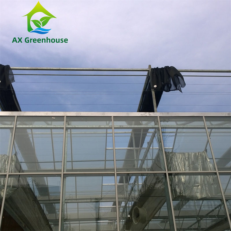 Commercial Multi-Span Venlo Glass Greenhouse with Hot Galvanized Steel Frame and Triangle Roof Molding