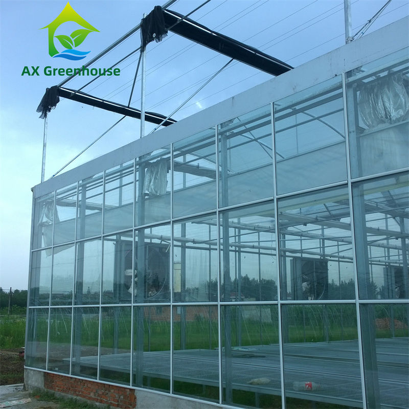 Commercial Multi-Span Venlo Glass Greenhouse with Hot Galvanized Steel Frame and Triangle Roof Molding
