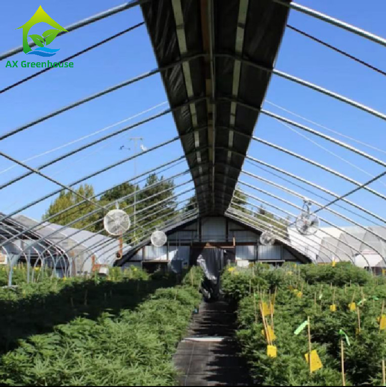 OEM External Light Deprivation Greenhouse 32m-50m Length Blackout System Greenhouse for growing Mariguana