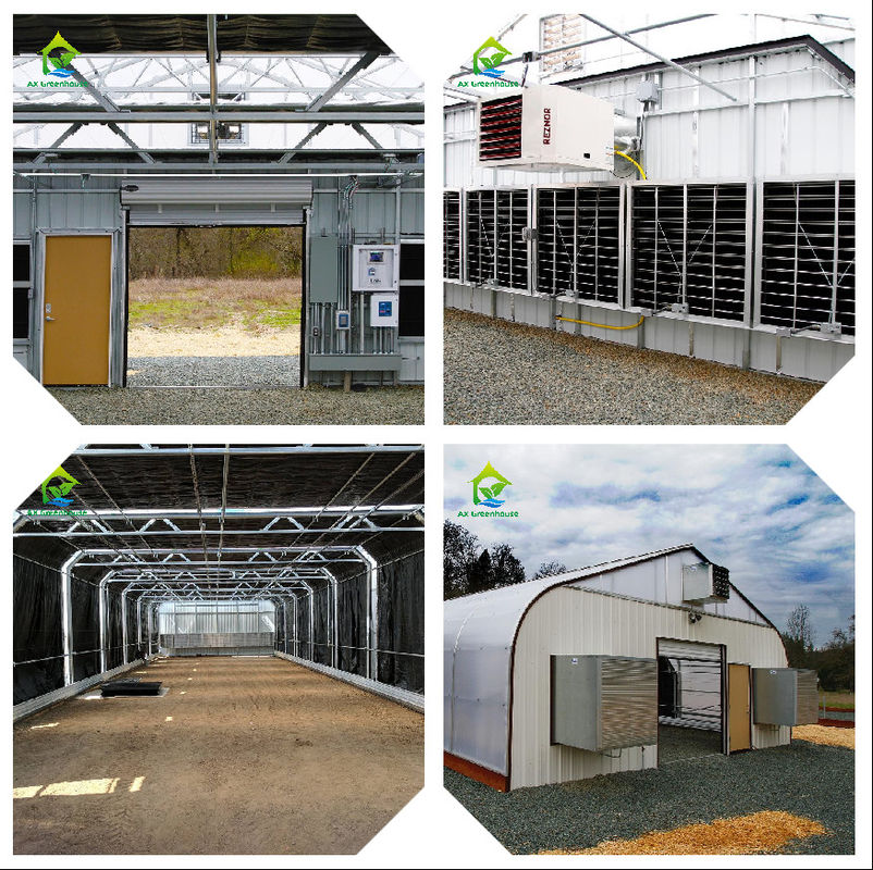 Intelligent Greenhouse Monitoring System with AC220V Power and 0~50000 PPM CO2 Concentration Meter for Optimal Climate Control