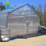 Commercial Single Span Venlo Type PC Sheet Greenhouse Impact Resistant