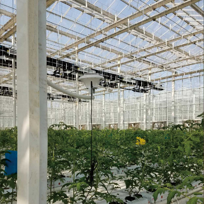 Intelligent Greenhouse Monitoring System with AC220V Power and 0~50000 PPM CO2 Concentration Meter for Optimal Climate Control