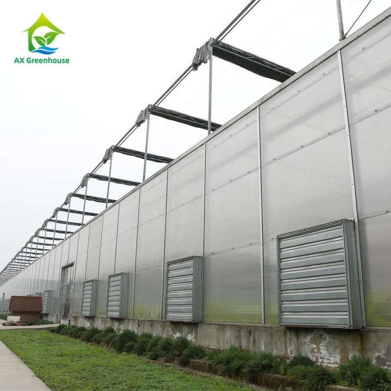 Plants Cultivation Single Span Polycarbonate PC Sheet Greenhouse with Stable Structure and Easy Assembly