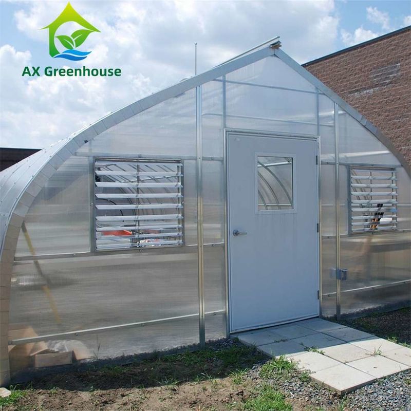 Easily Assembled Transparent PC Sheet Greenhouse with Customizable Size and Hot Galvanized Steel Frame
