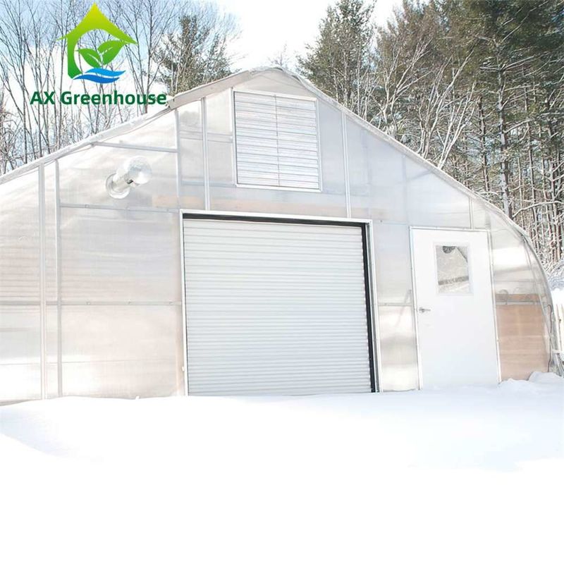 Easily Assembled Transparent PC Sheet Greenhouse with Customizable Size and Hot Galvanized Steel Frame