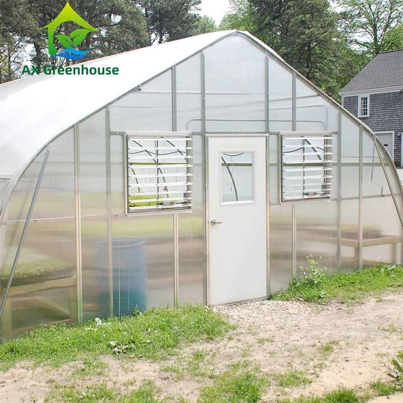 Easily Assembled Transparent PC Sheet Greenhouse with Customizable Size and Hot Galvanized Steel Frame