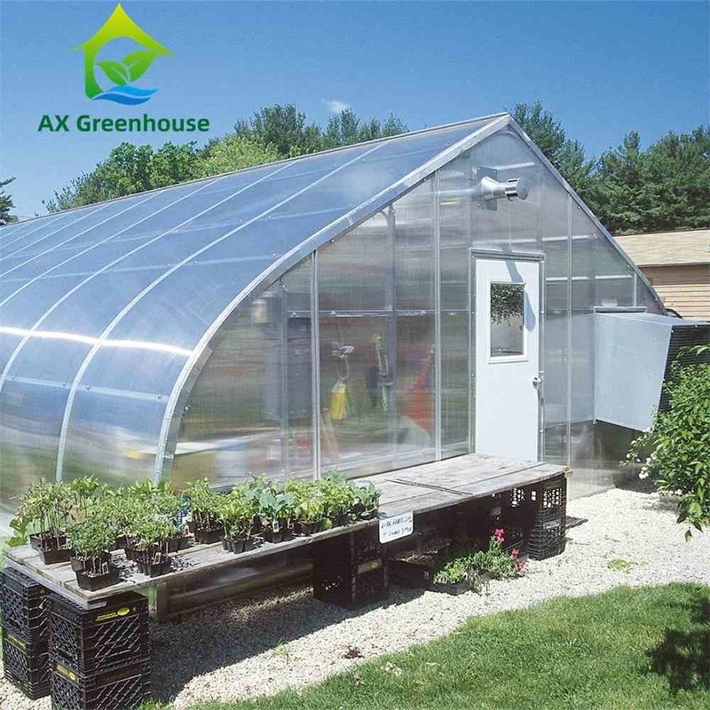 9.6m Width Peach Type Roof PC Sheet Greenhouse Hot Galvanized Pipe Greenhouse