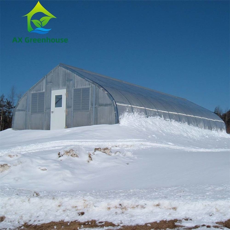 9.6m Width Peach Type Roof PC Sheet Greenhouse Hot Galvanized Pipe Greenhouse