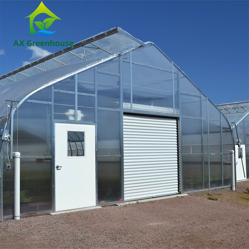 Versatile Single Span Multiwall Polycarbonate Greenhouse Ideal For Vegetables Seedlings Flowers Backyard Farming
