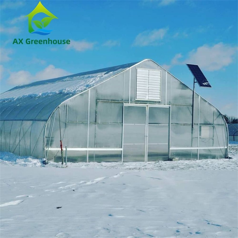 All Seasons Shading System Professional Venlo Greenhouse With Fully Automated Light Deprivation System And Integrated Gutters