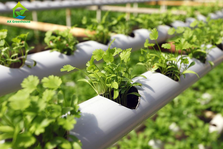 Soilless Indoor Farming Strawberry Growing PVC Tube For Hydroponics NFT System For Sale