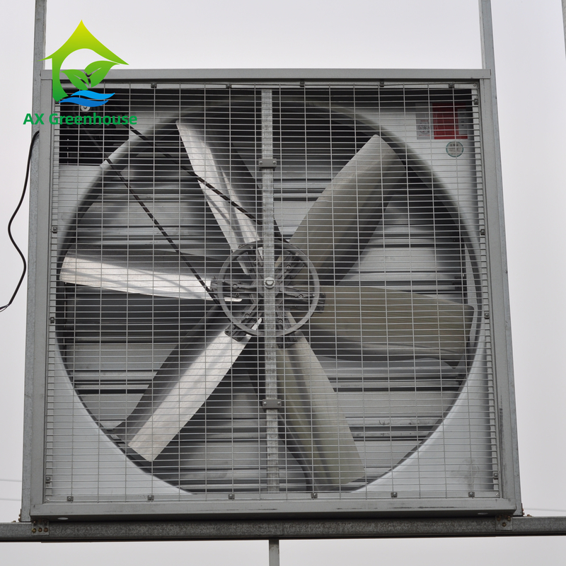 Industrial Grade Aluminum Greenhouse Exhaust Fans Corrosion Resistant for Humid Evaporative Cooling