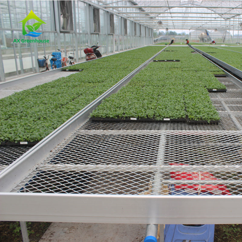Agricultural Commercial Indoor Mesh Wire Greenhouse Grow Table Rolling Bench For Seeding