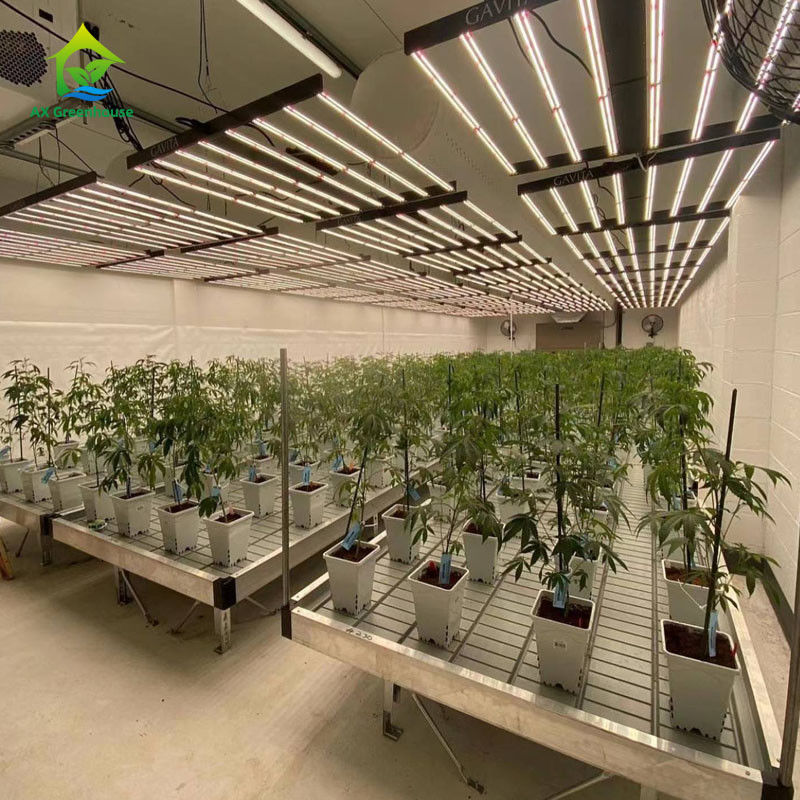 Stable Eco Friendly Greenhouse Rolling Benches with ABS Plastic Sheet and Aluminum Alloy Frame in Customizable Sizes