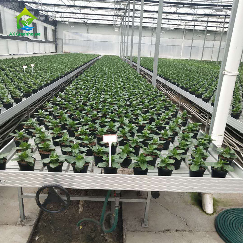 Stable Eco Friendly Greenhouse Rolling Benches with ABS Plastic Sheet and Aluminum Alloy Frame in Customizable Sizes