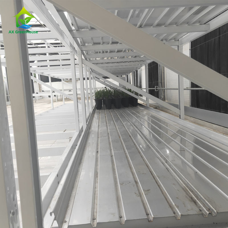 Customized Indoor Double Layers Vegetable Medical Herb Grow Rack for Vertical Farming