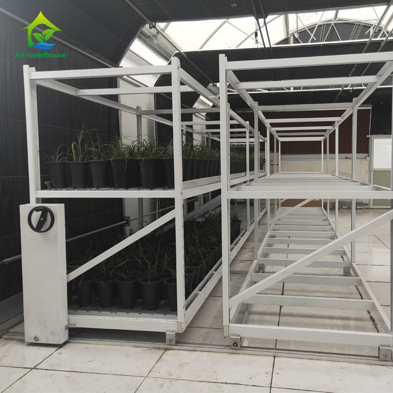 Customized Indoor Double Layers Vegetable Medical Herb Grow Rack for Vertical Farming