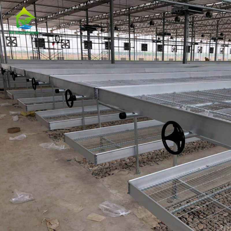 Agricultural Commercial Indoor Mesh Wire Greenhouse Grow Table Rolling Bench For Seeding