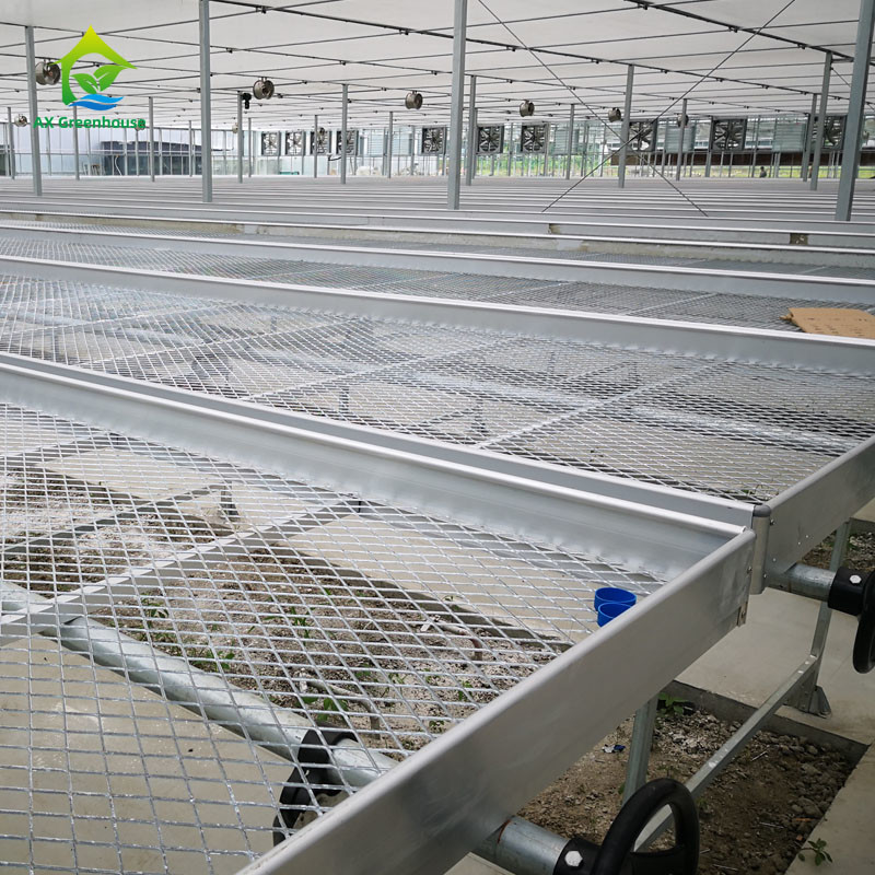 Agricultural Commercial Indoor Mesh Wire Greenhouse Grow Table Rolling Bench For Seeding