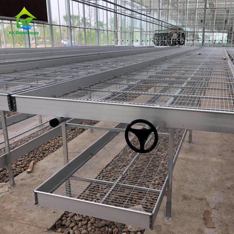 Agricultural Commercial Indoor Mesh Wire Greenhouse Grow Table Rolling Bench For Seeding