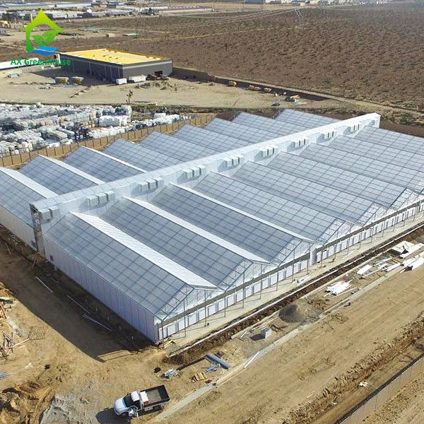 Automated Commercial Light Deprivation Greenhouse with Interior Blackout 32m-50m Length and 8m-12.6m Span Width