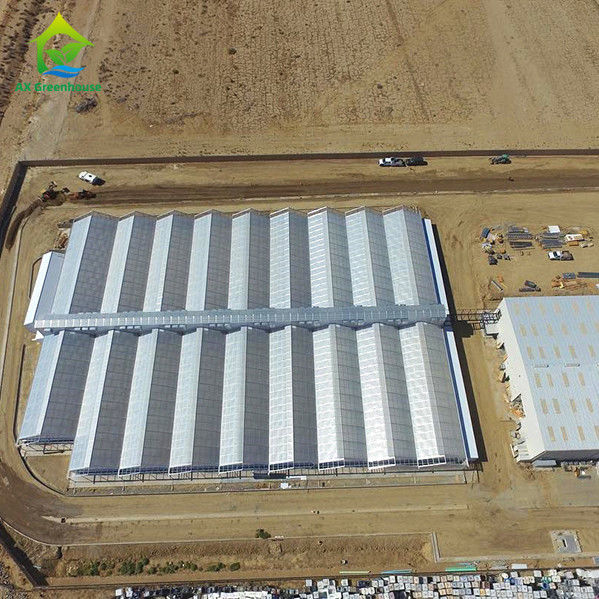 Automated Commercial Light Deprivation Greenhouse with Interior Blackout 32m-50m Length and 8m-12.6m Span Width