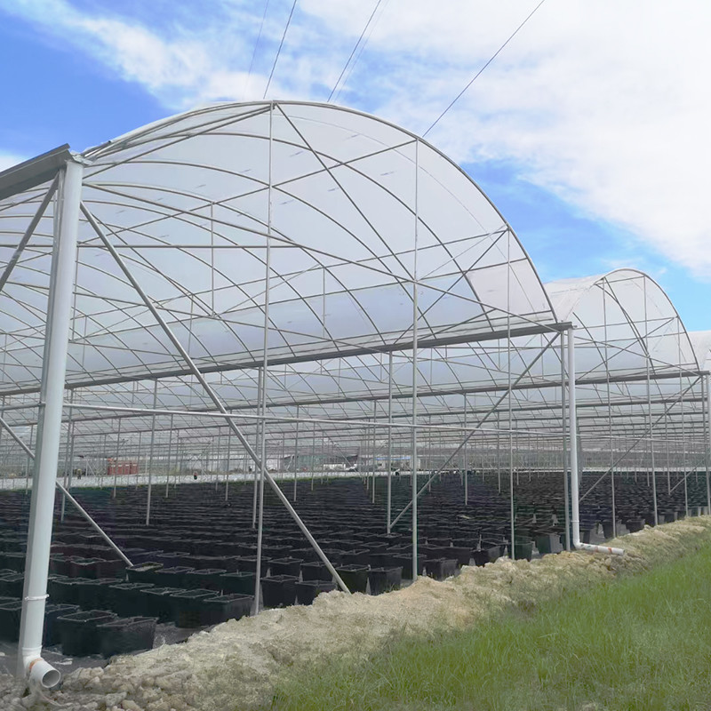 30*10m Poly Tunnel Galvanized Frame Multi-span Agricultural Greenhouse For Tomato